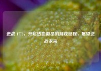 逆战 1773，开启热血激昂的游戏征程，展望逆战未来