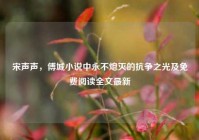 宋声声，傅城小说中永不熄灭的抗争之光及免费阅读全文最新