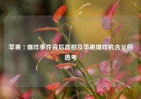 苹果 7 爆炸事件背后真相及苹果爆炸机含义的思考