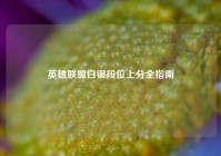 英雄联盟白银段位上分全指南