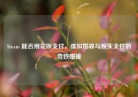 Steam 能否用花呗支付，虚拟世界与现实支付的奇妙碰撞