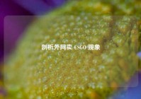 剖析外网卖 CSGO 现象