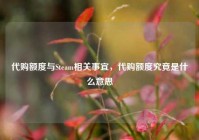 代购额度与Steam相关事宜，代购额度究竟是什么意思