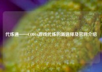 代练通——COD16游戏代练的新选择及官网介绍