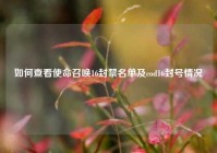 如何查看使命召唤16封禁名单及cod16封号情况