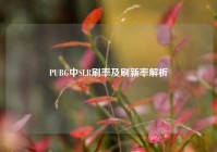 PUBG中SLR刷率及刷新率解析
