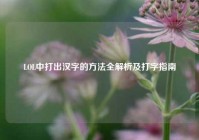 LOL中打出汉字的方法全解析及打字指南