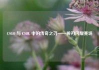 CSGO 与 CSOL 中的传奇之刃——神刃闪耀赛场