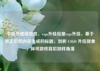 中包含错误信息，csgo外桂应是csgo外挂，基于修正后的内容生成的标题，剖析 CSGO 外挂现象，探寻游戏背后别样角落