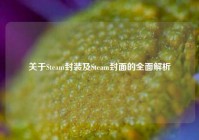 关于Steam封装及Steam封面的全面解析