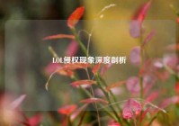 LOL侵权现象深度剖析