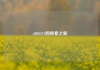 cf881211的探索之旅