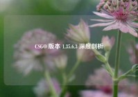 CSGO 版本 1.35.6.3 深度剖析