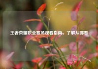 王者荣耀职业赛场观看指南，了解从哪看