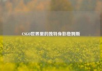 CSGO世界里的独特身影詹姆斯
