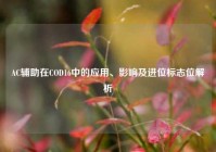 AC辅助在COD16中的应用、影响及进位标志位解析