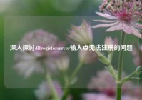 深入探讨dllregisterserver输入点无法注册的问题