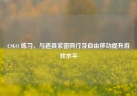 CSGO 练习，与道具紧密同行及自由移动提升游戏水平