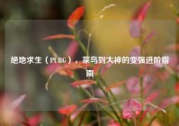 绝地求生（PUBG），菜鸟到大神的变强进阶指南