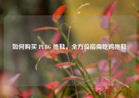 如何购买 PUBG 拖鞋，全方位指南吃鸡拖鞋