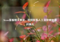 Steam客服相关事宜，如何联系人工及你需知道的事儿