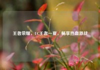 王者荣耀，UC王者一夏，畅享热血激战