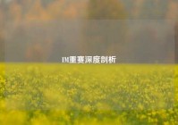 IM重赛深度剖析