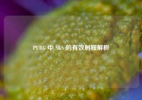 PUBG 中 SKS 的有效射程解析