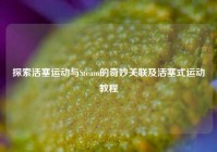 探索活塞运动与Steam的奇妙关联及活塞式运动教程