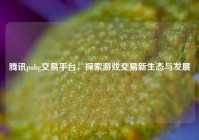腾讯pubg交易平台，探索游戏交易新生态与发展