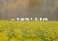 PUBG 里的别样破坏，唱片被摧毁
