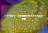 CF广东与辽宁，能否跨越地域实现电竞联动一起玩