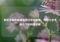 索尼手提电脑键盘锁住如何解锁，科技与艺术融合下的问题求解