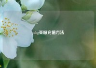 pubg亚服充值方法
