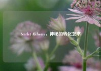 Scarlet Alchemy，神秘的转化艺术