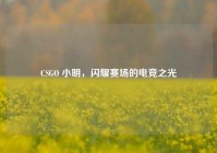 CSGO 小明，闪耀赛场的电竞之光