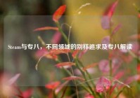 Steam与专八，不同领域的别样追求及专八解读