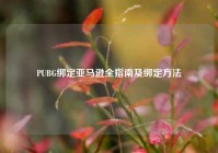 PUBG绑定亚马逊全指南及绑定方法