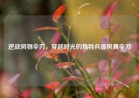 逆战风物伞刃，穿越时光的独特兵器风舞伞刀