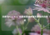 功放与Steam Box，构建极致视听娱乐体验的功放机