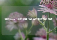 探寻Steam上奇葩游戏名背后的那些奇葩游戏