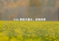 PUBG 单排大魔王，战场传奇
