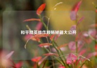 和平精英操作顺畅秘籍大公开