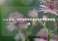 Steam 平台，剑术游戏带来虚拟与现实的激情碰撞