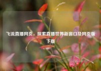 飞流直播网页，探索直播世界新窗口及网页版下载