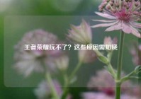 王者荣耀玩不了？这些原因需知晓
