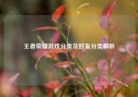 王者荣耀游戏分类及好友分类解析