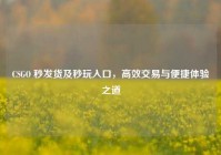 CSGO 秒发货及秒玩入口，高效交易与便捷体验之道