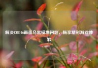 解决COD16画面乌黑模糊问题，畅享精彩游戏体验