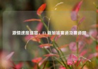 激情速度盛宴，F1 新加坡赛道及赛道图